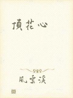 顶花心封面