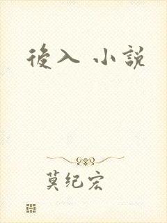 后入 小说