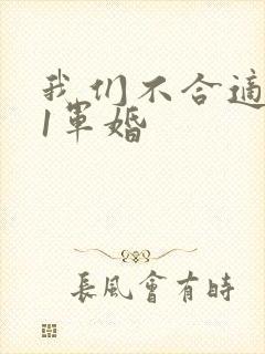 我们不合适1v1军婚