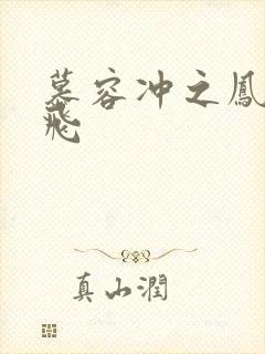 慕容冲之凤凰于飞封面