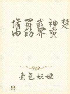 修罗武神楚枫体内的界灵封面