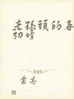 老孙头的春天林初晴