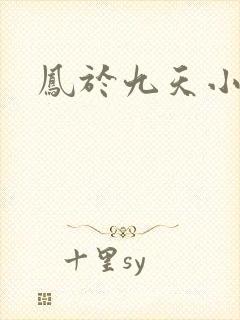 凤于九天小说
