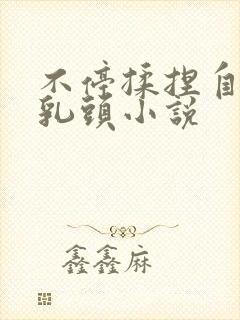 不停揉捏自己的乳头小说