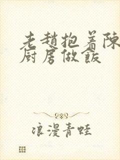 老赵抱着陈婷在厨房做饭封面