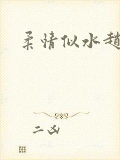 柔情似水赵雅儿封面