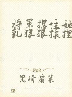 将军握住她的双乳狠狠揉捏