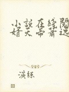 小说在线阅读赘婿天帝萧逸