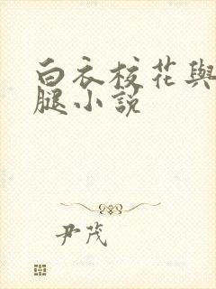 白衣校花与大长腿小说