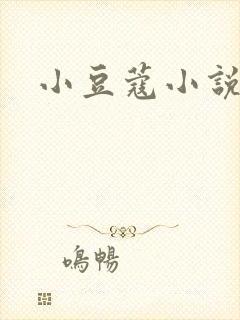 小豆蔻小说