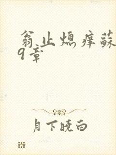 翁止熄痒苏钥第9章