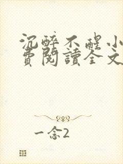 沉醉不醒小说免费阅读全文无弹窗