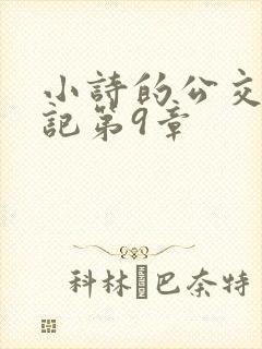 小诗的公交车日记第9章封面