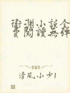 卫渊小说全文免费阅读无弹窗封面