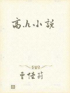 高.h小说