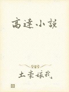 高达小说封面