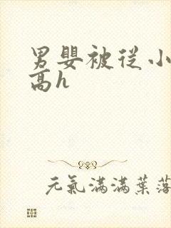 男婴被从小调教高h封面