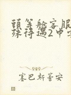 头等舱客服的特殊待遇2中字