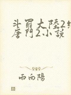 斗罗大陆2绝世唐门2小说