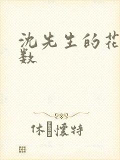 沈先生的花式调数