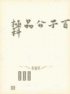 极品公子百度百科