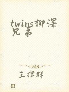 twins柳泽兄弟