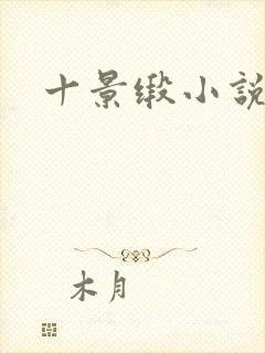 十景缎小说
