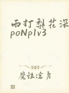 雨打梨花深闭门poNp1v3封面