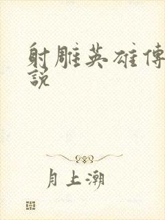 射雕英雄传 小说