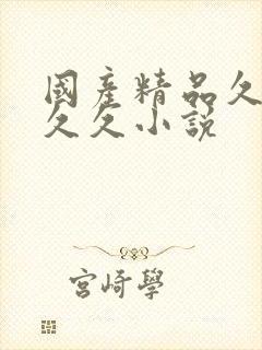 国产精品久久久久久小说封面