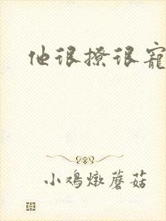 他很撩很宠封面