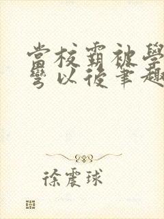 当校霸被学霸掰弯以后笔趣阁封面