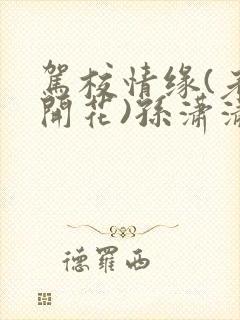 驾校情缘(老树开花)孙潇潇笔趣阁