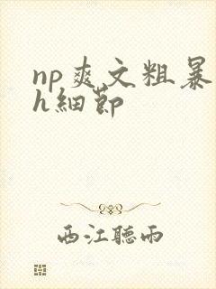 np爽文粗暴高h细节封面