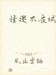 情迷不夜城
