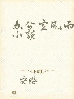 办公室风雨完整小说