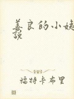 善良的小姨子小说