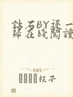 钻石BY逐一而归在线阅读封面