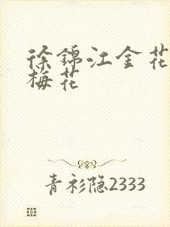 徐锦江金花瓶楷梅花封面