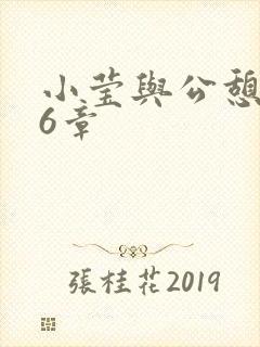 小莹与公憩第26章封面