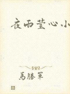 夜雨莹心小说