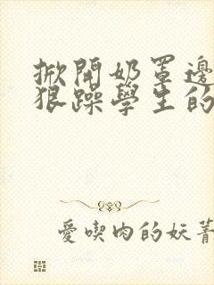 掀开奶罩边躁狠狠躁学生的小文字