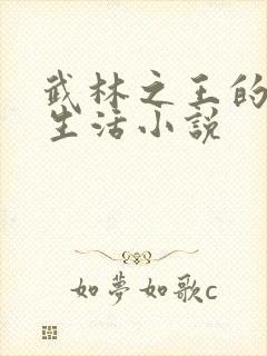 武林之王的退隐生活小说