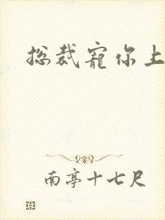 总裁宠你上瘾封面