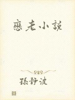 恋老小说