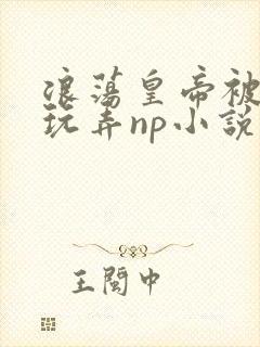 浪荡皇帝被多人玩弄np小说封面