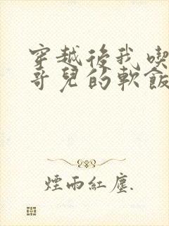 穿越后我吃到了哥儿的软饭炉山灰