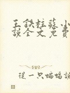 王铁柱苏小汐小说全文免费阅读最新章节