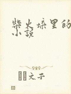 柴火垛里的疯狂小说