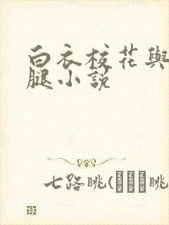 白衣校花与大长腿小说